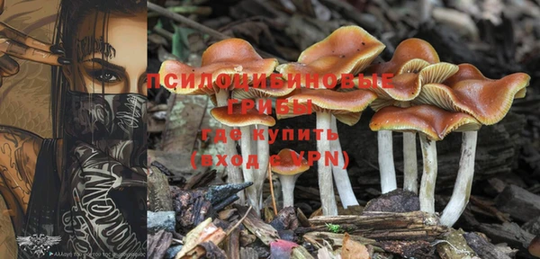марихуана Переславль-Залесский