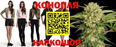 сатива Волжский