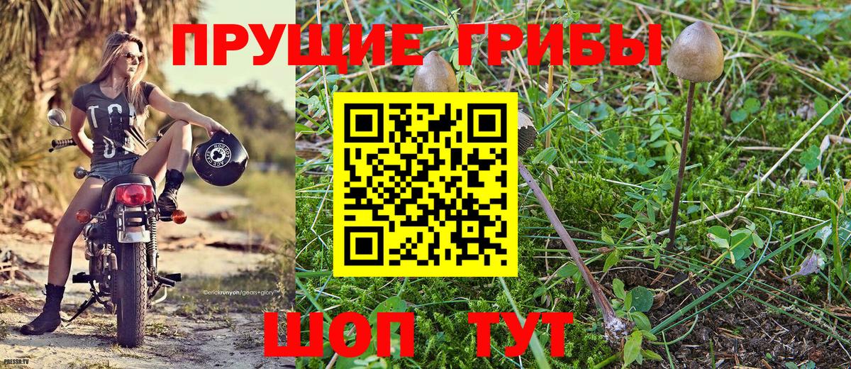 Псилоцибиновые грибы мухоморы  Галлюциногенные грибы Magic Shrooms  Азов  Вход с VPN 