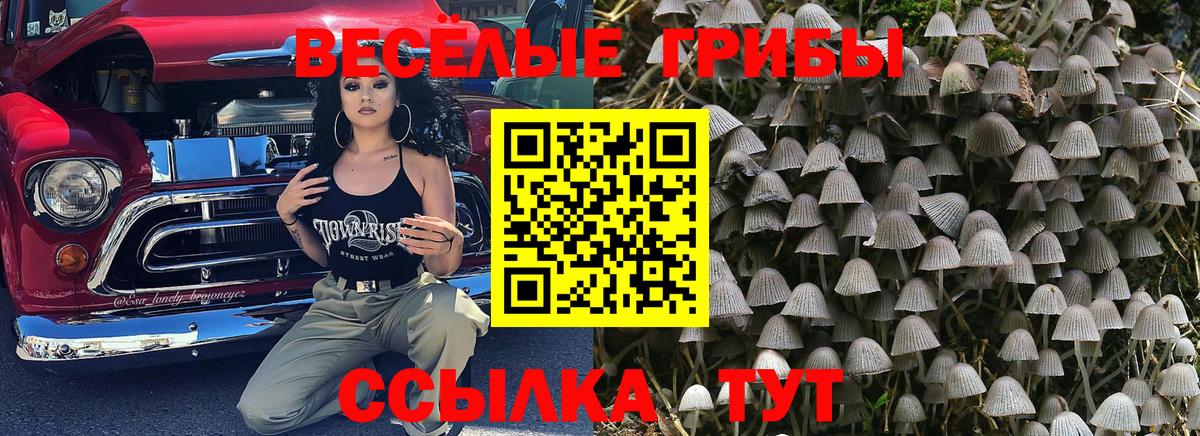 Галлюциногенные грибы мицелий Азов