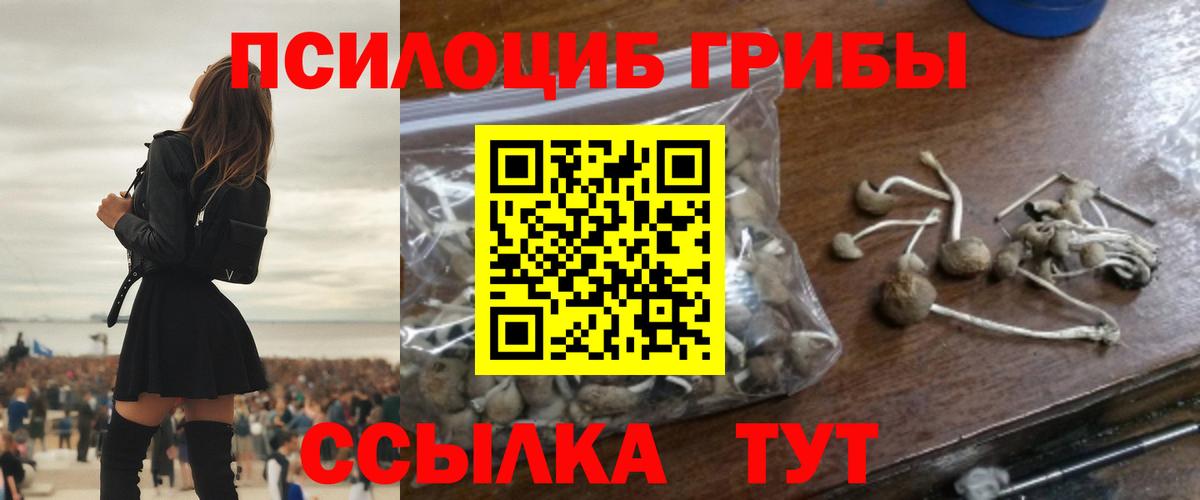 Псилоцибиновые грибы Psilocybe Азов