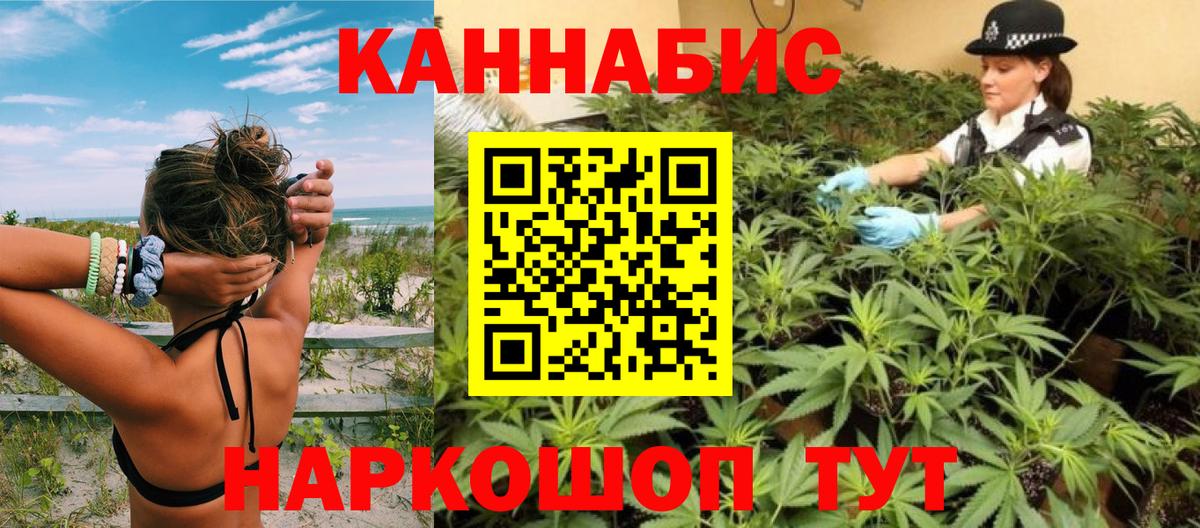 Канабис планчик Азов